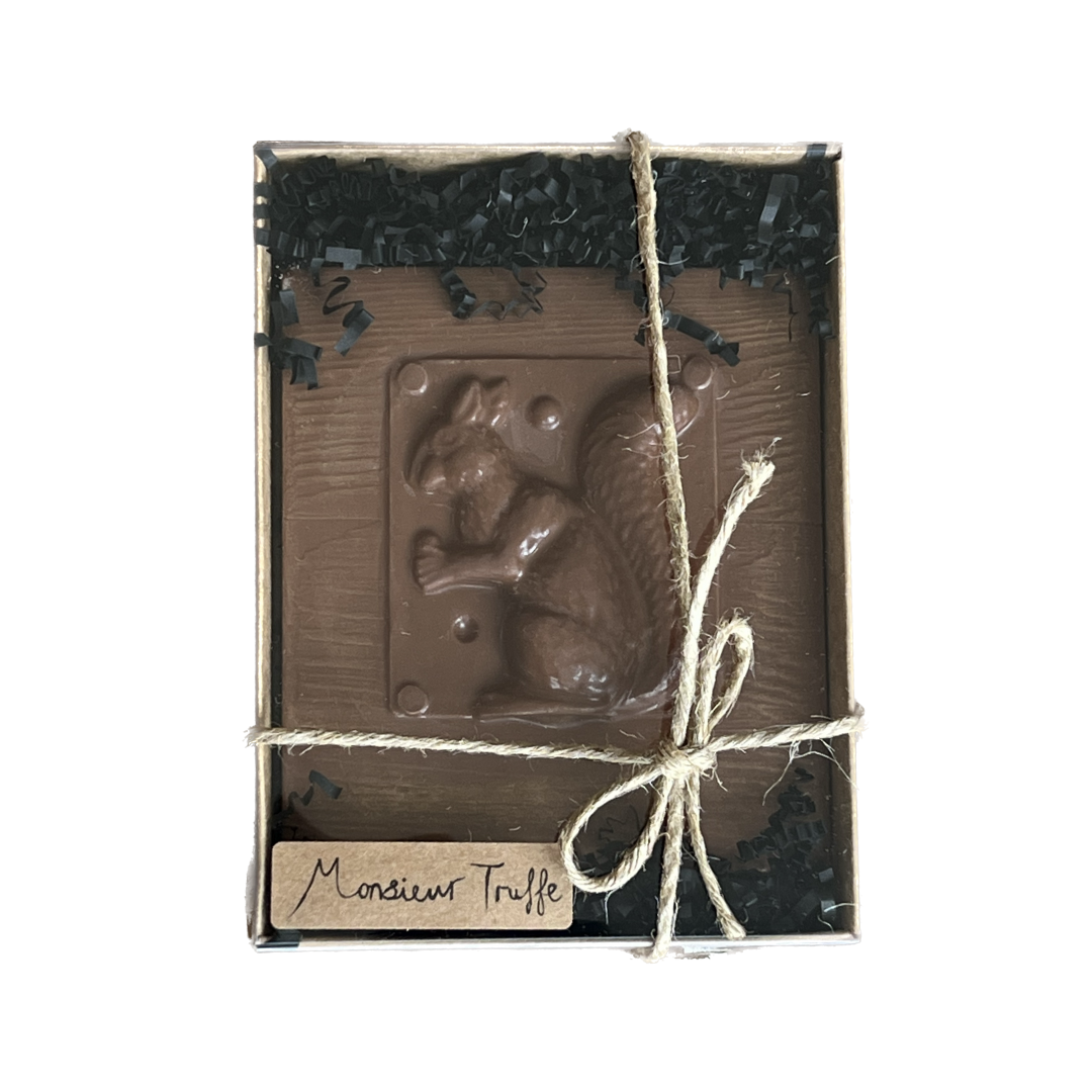 Milk Chocolate Squirrel Gift Box